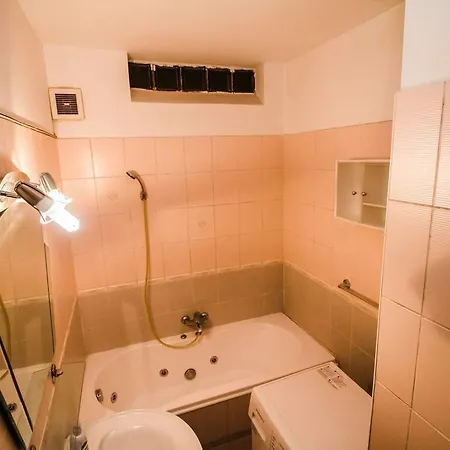 Luxury Victoriei Apartament